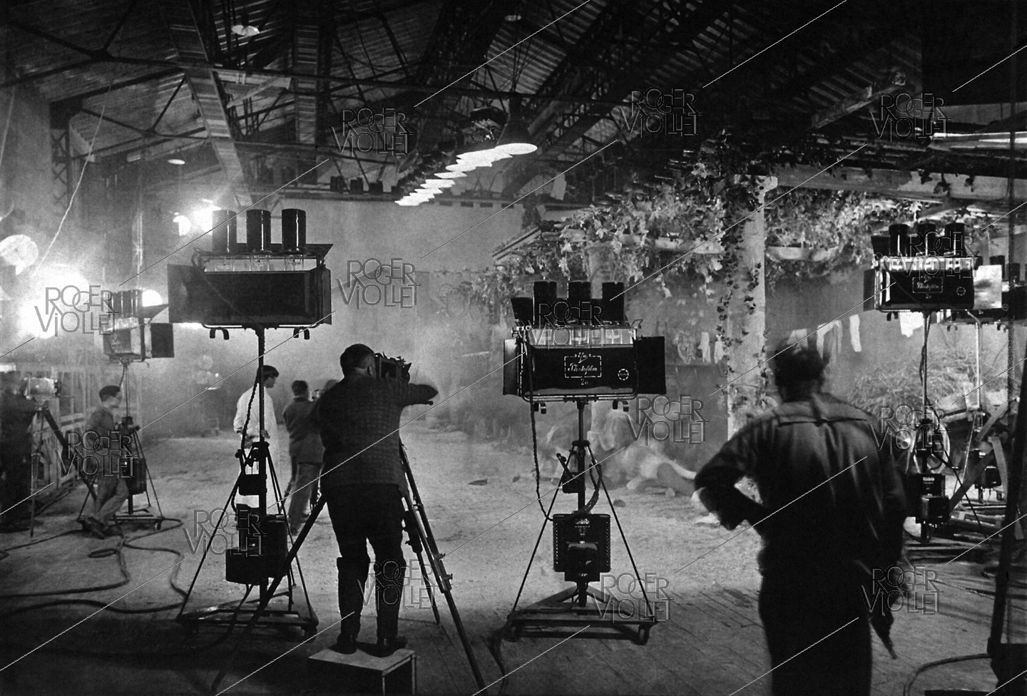 Début Du Tournage Du Premier Film De Bérenger Thouin : L'Âge D'or Début Du Tournage Du Premier Film De Bérenger Thouin : L'Âge D'or