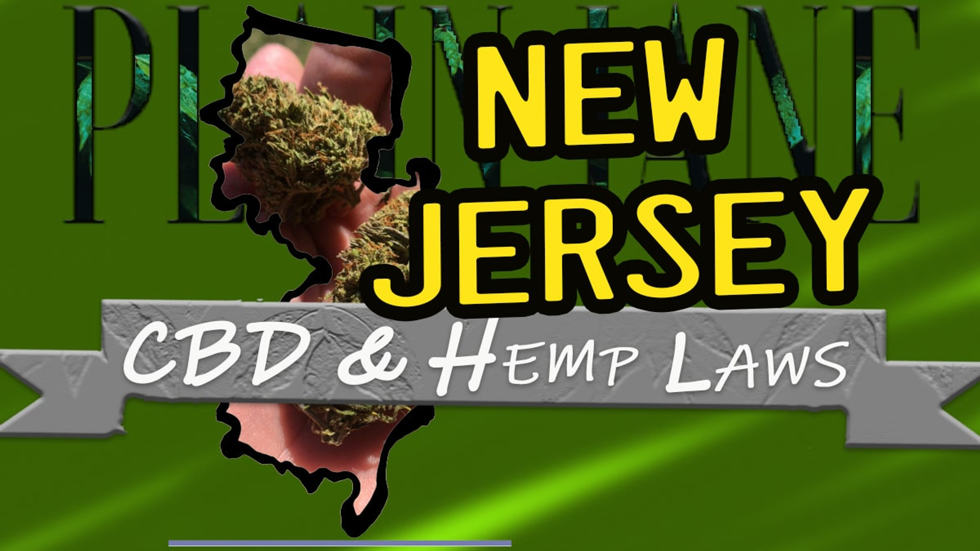 Decoding Georgia's Hemp Laws: A Buyer's Guide To Legal Products Decoding Georgia's Hemp Laws: A Buyer's Guide To Legal Products