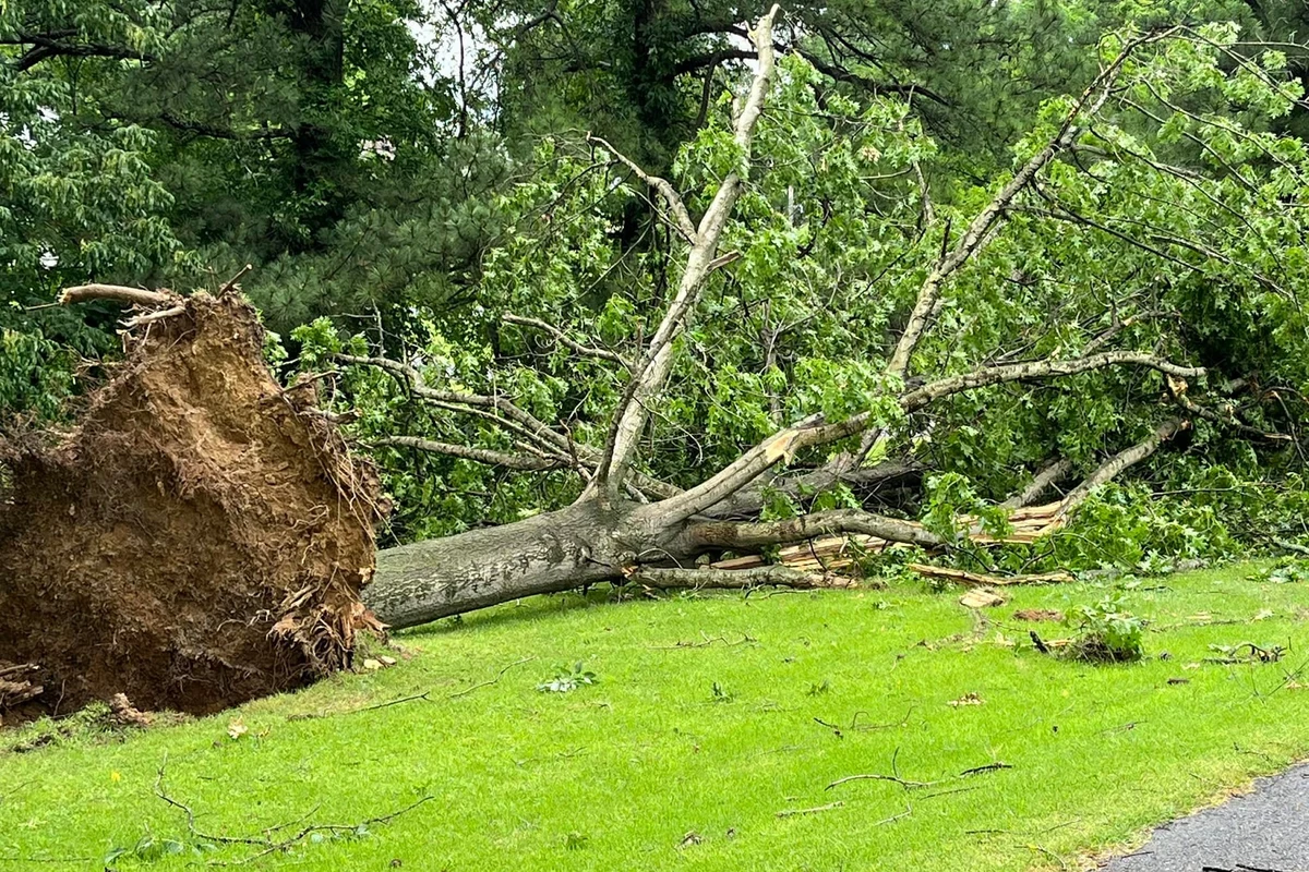 Delays In Kentucky Storm Damage Assessments: Understanding The Issues