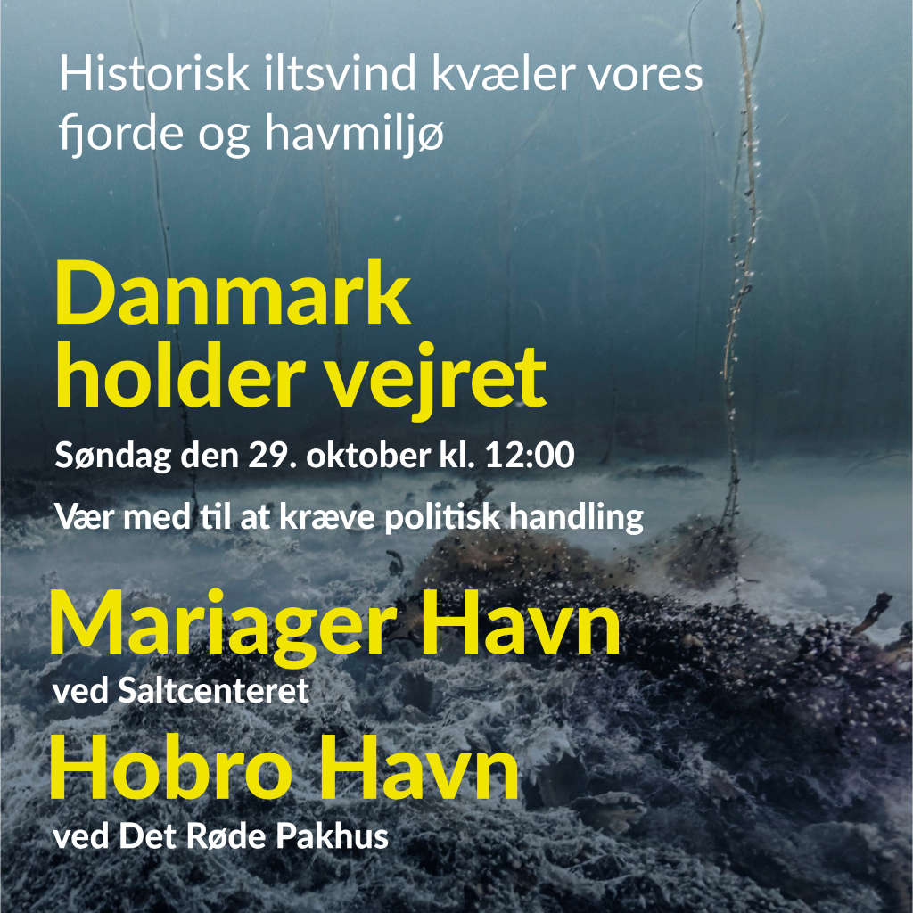 Den Politiske Spænding: Holder Vejret Og Danmarks Mulige Afvisning Den Politiske Spænding: Holder Vejret Og Danmarks Mulige Afvisning