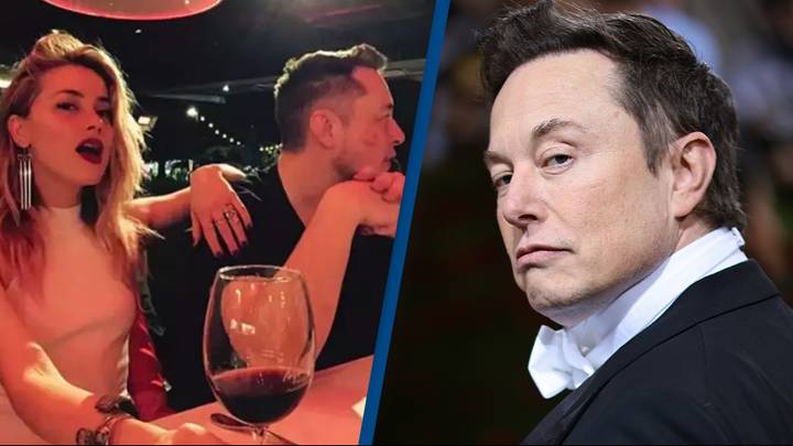 Did Elon Musk Father Amber Heard's Twins? A Look At The Evidence Did Elon Musk Father Amber Heard's Twins? A Look At The Evidence
