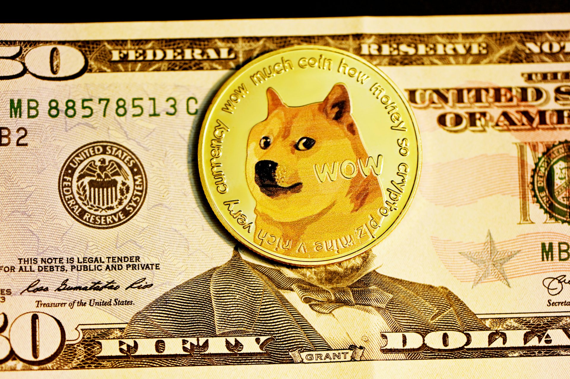 Dogecoin And The Trump Administration: Musk's Perspective And Actions Dogecoin And The Trump Administration: Musk's Perspective And Actions