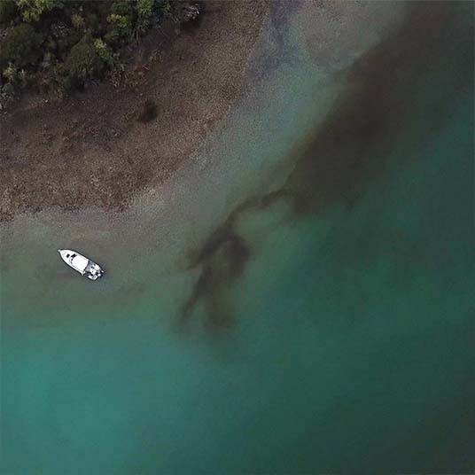 Double Trouble: Harmful Algal Blooms Hit Kodiak Shellfish Harvesting Twice Double Trouble: Harmful Algal Blooms Hit Kodiak Shellfish Harvesting Twice