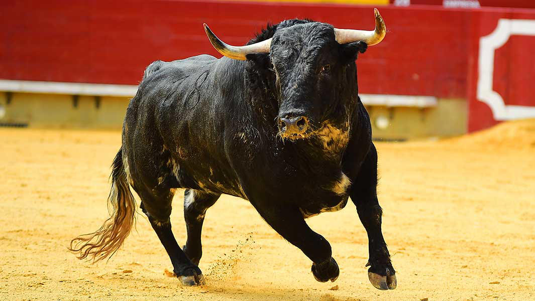 Dow Jones Rallies 1000 Points: Stock Market Update And Analysis Dow Jones Rallies 1000 Points: Stock Market Update And Analysis
