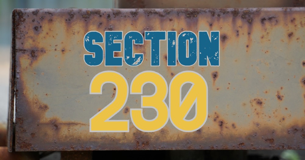 EBay's Liability For Banned Chemicals: A Section 230 Case Study EBay's Liability For Banned Chemicals: A Section 230 Case Study
