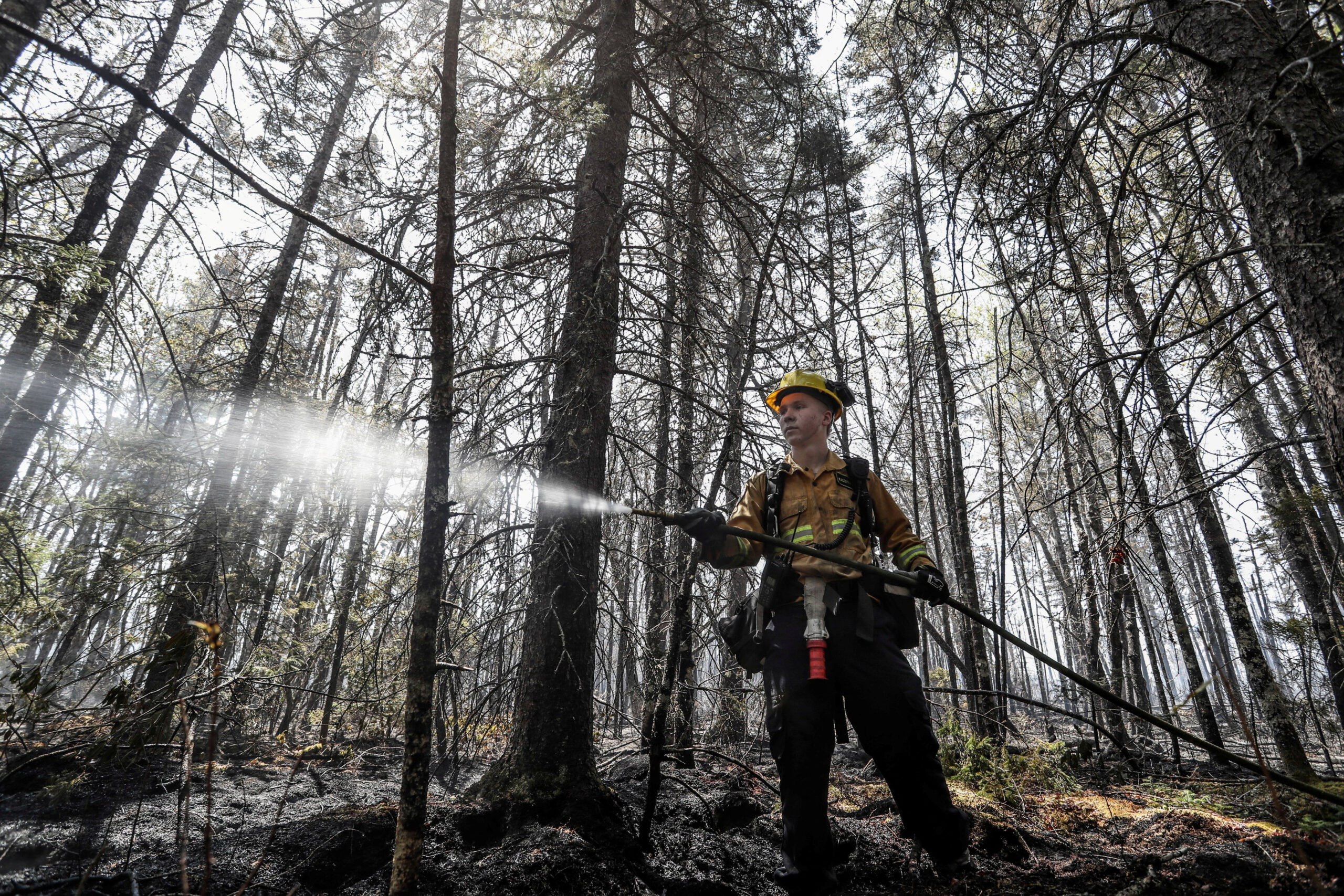 Eastern Newfoundland Wildfires: Devastation And Evacuations Eastern Newfoundland Wildfires: Devastation And Evacuations