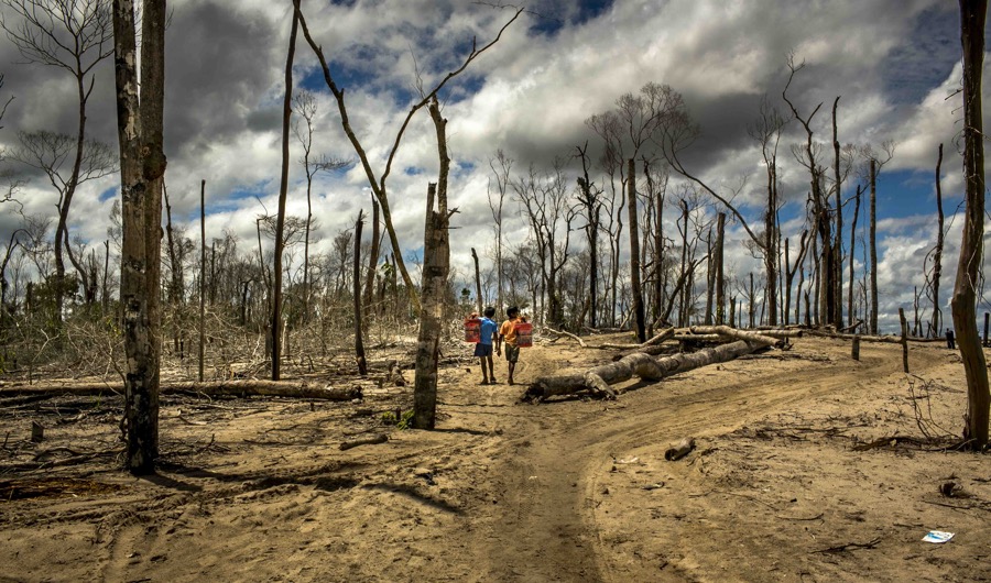 Economic Consequences Of Peru's Emergency Mining Ban On Gold Production Economic Consequences Of Peru's Emergency Mining Ban On Gold Production