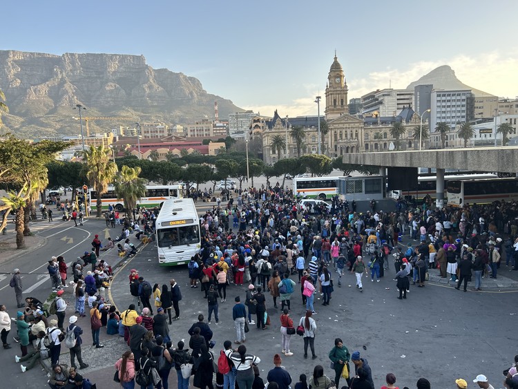 Elephant Seal In Cape Town Suburb Causes Traffic Chaos Elephant Seal In Cape Town Suburb Causes Traffic Chaos
