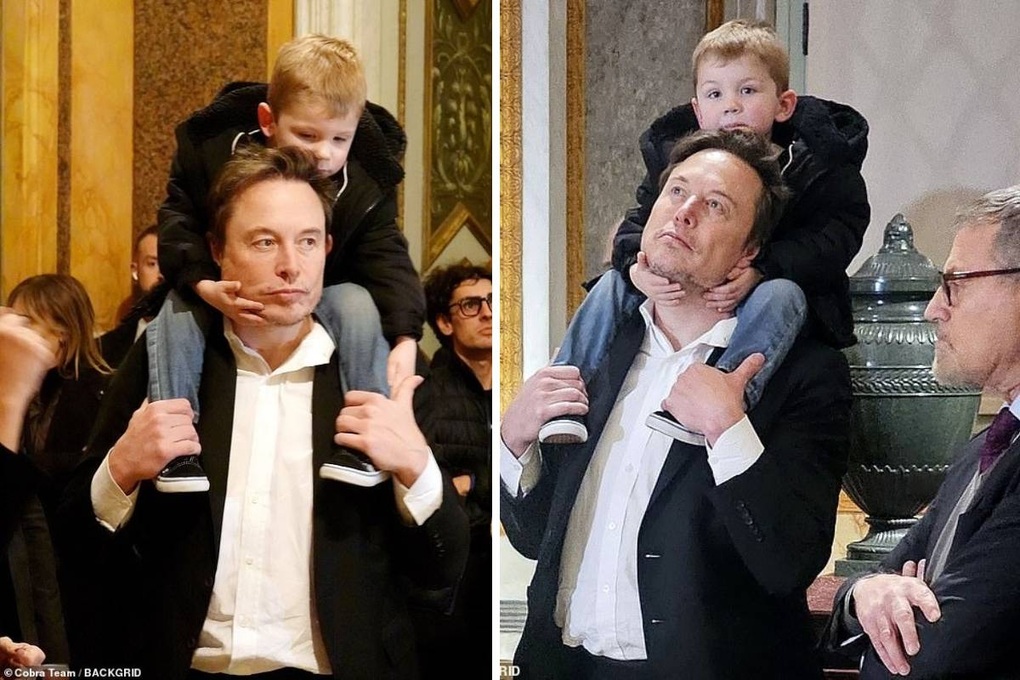 Elon Musk's Business Empire: How He Accumulated His Massive Fortune Elon Musk's Business Empire: How He Accumulated His Massive Fortune