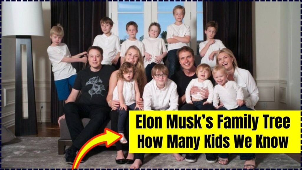 Elon Musk's Family Wealth: The Reality Behind The Billions – Maye Musk's Account Elon Musk's Family Wealth: The Reality Behind The Billions – Maye Musk's Account