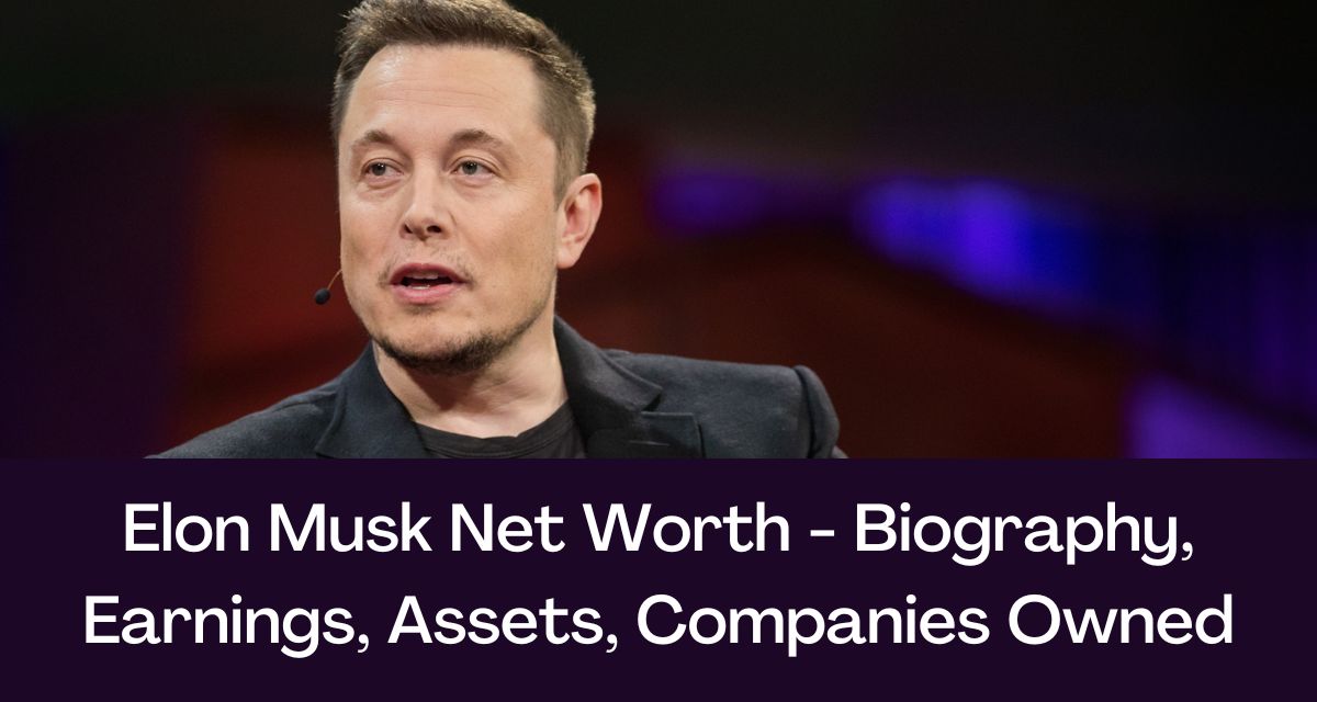 Elon Musk's Net Worth: How US Power Dynamics Impact Tesla's CEO Fortune? Elon Musk's Net Worth: How US Power Dynamics Impact Tesla's CEO Fortune?