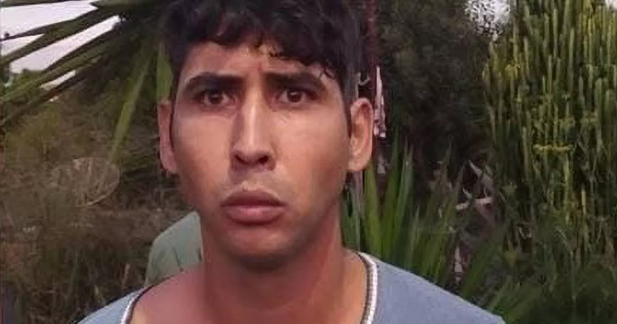 Embassy Employee Murders: Suspect Apprehended Embassy Employee Murders: Suspect Apprehended
