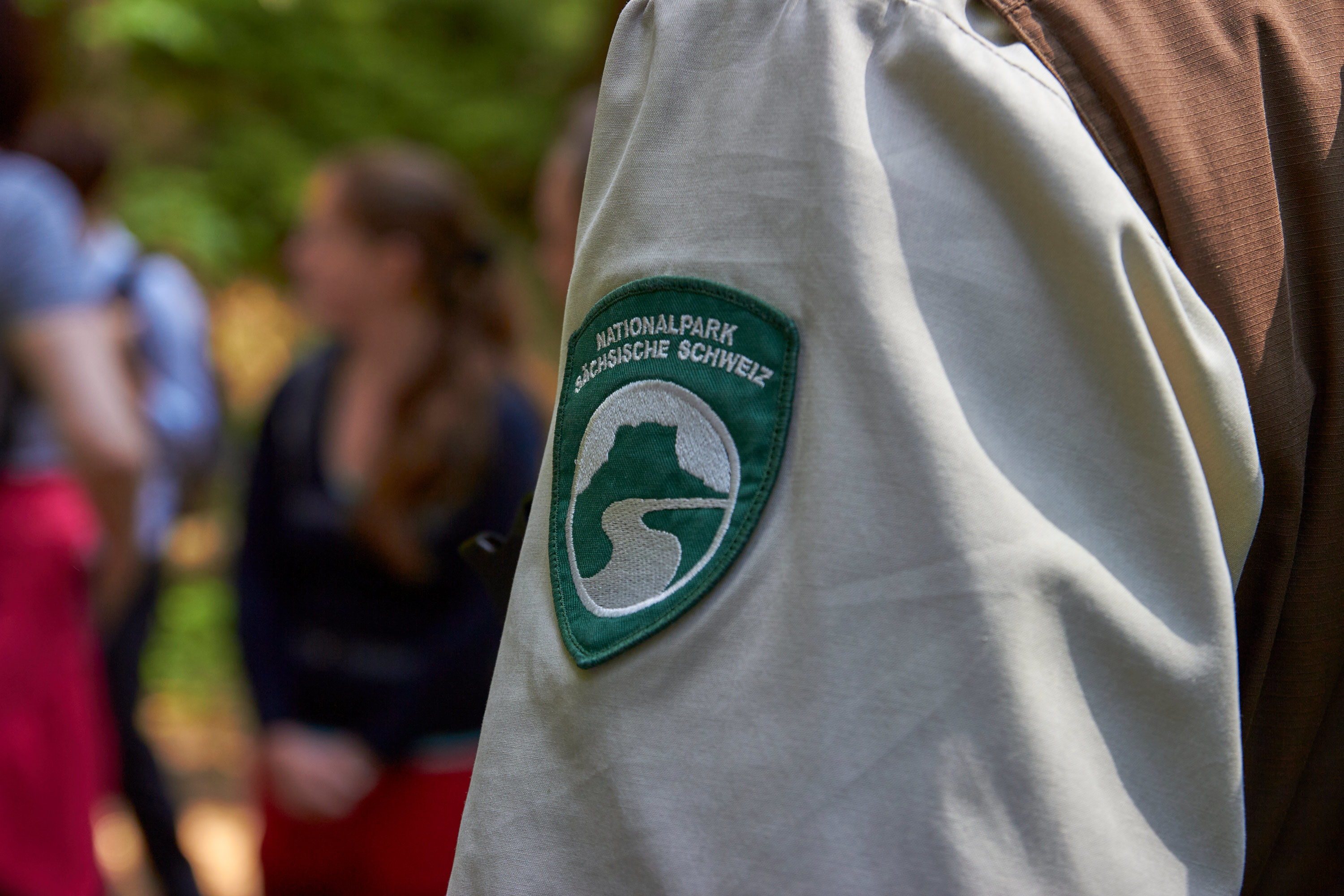 Erfolgreiche Baumpflanzaktion: 190.000 Neue Bäume Im Nationalpark Sächsische Schweiz Erfolgreiche Baumpflanzaktion: 190.000 Neue Bäume Im Nationalpark Sächsische Schweiz