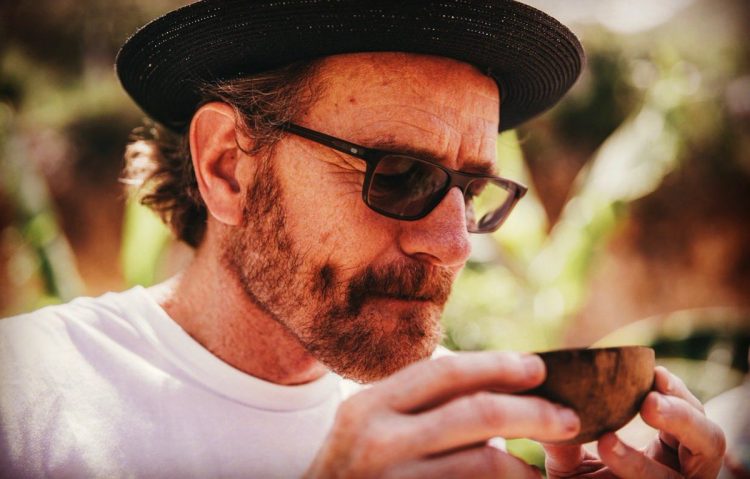 Estimating Bryan Cranston's Net Worth For 2025