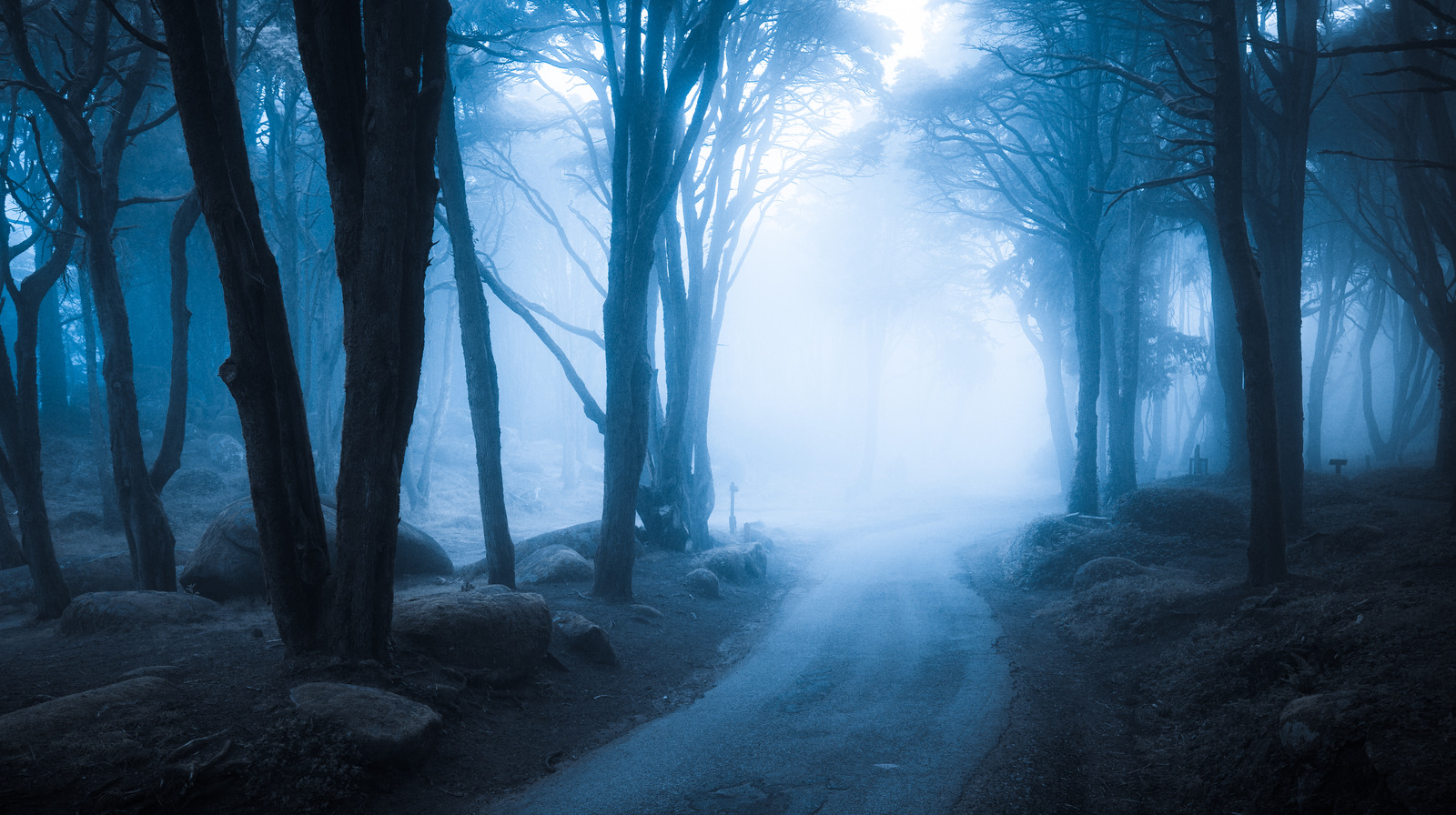 Explaining The Disappearance: Theories And Perspectives Explaining The Disappearance: Theories And Perspectives