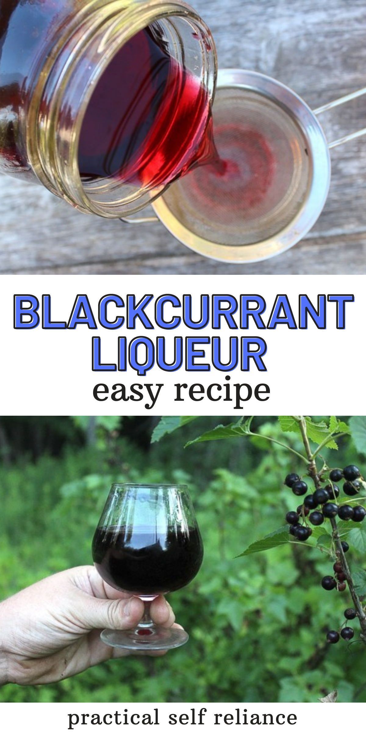 Exploring The Rich Flavors Of Cassis Blackcurrant Liqueur Exploring The Rich Flavors Of Cassis Blackcurrant Liqueur