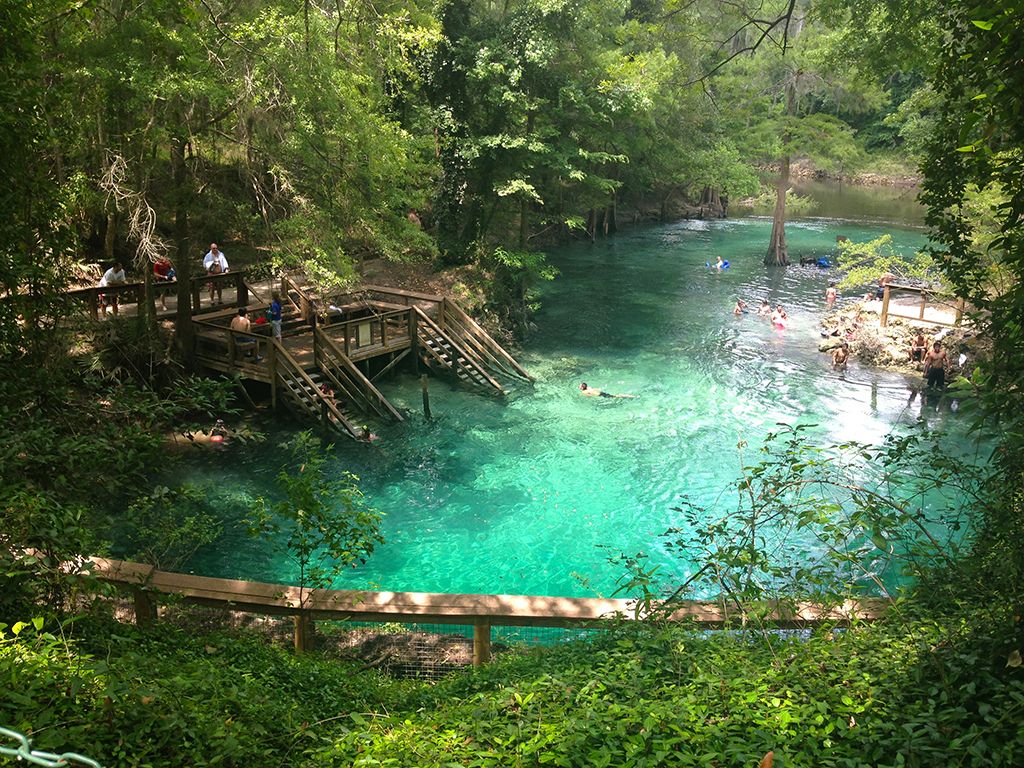Filming Alligators In Florida Springs: A Guide For Filmmakers Filming Alligators In Florida Springs: A Guide For Filmmakers