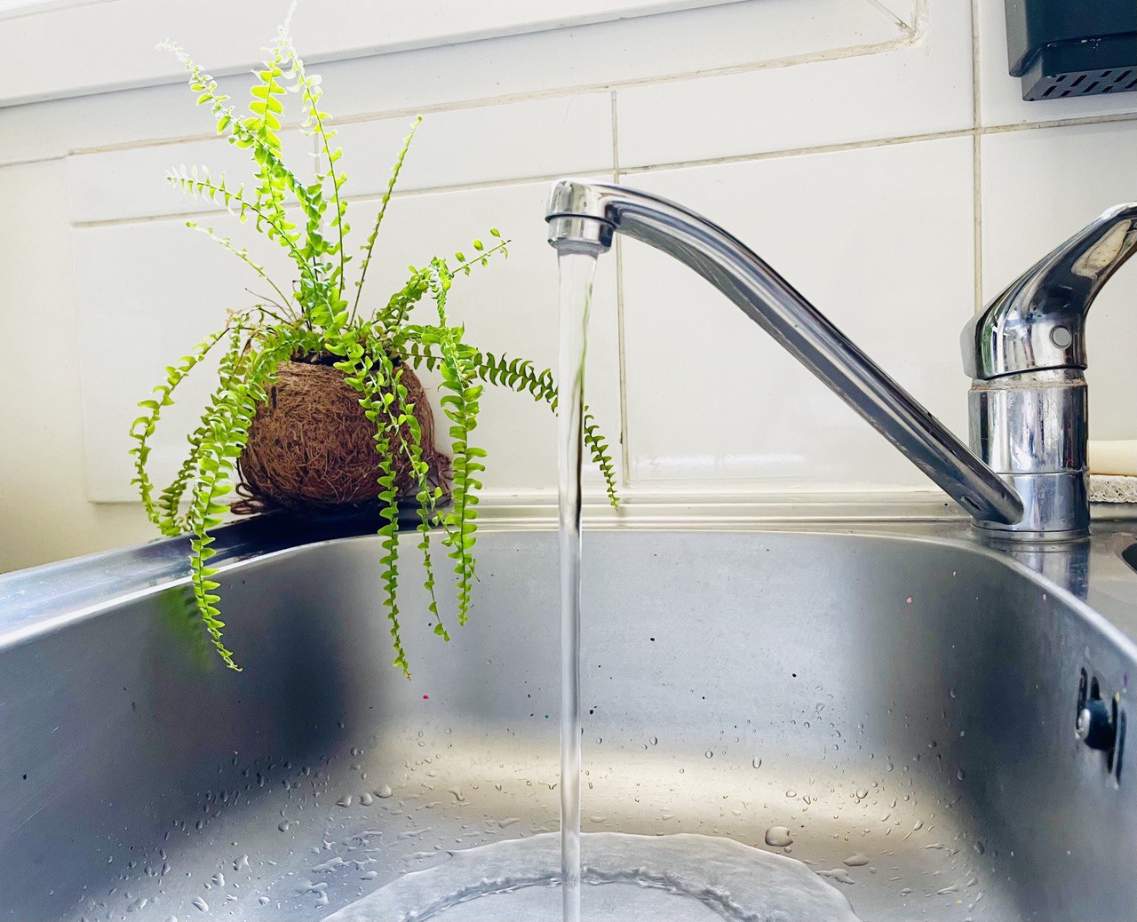 Filtrer L'eau Du Robinet : Est-ce Vraiment Possible ? Filtrer L'eau Du Robinet : Est-ce Vraiment Possible ?