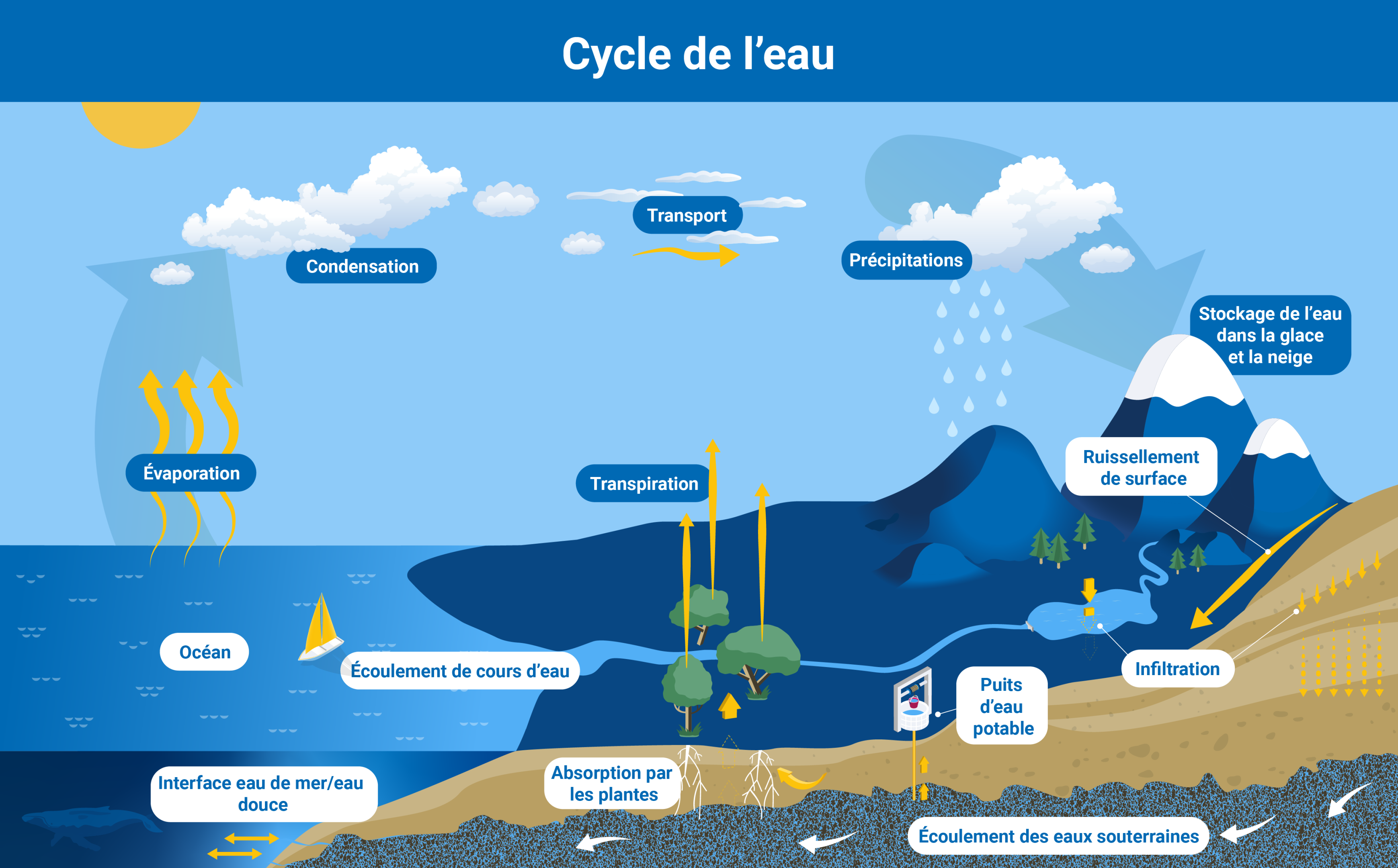 Filtrer L'eau Du Robinet : Guide Complet Sur La Pollution Et Les Solutions Filtrer L'eau Du Robinet : Guide Complet Sur La Pollution Et Les Solutions