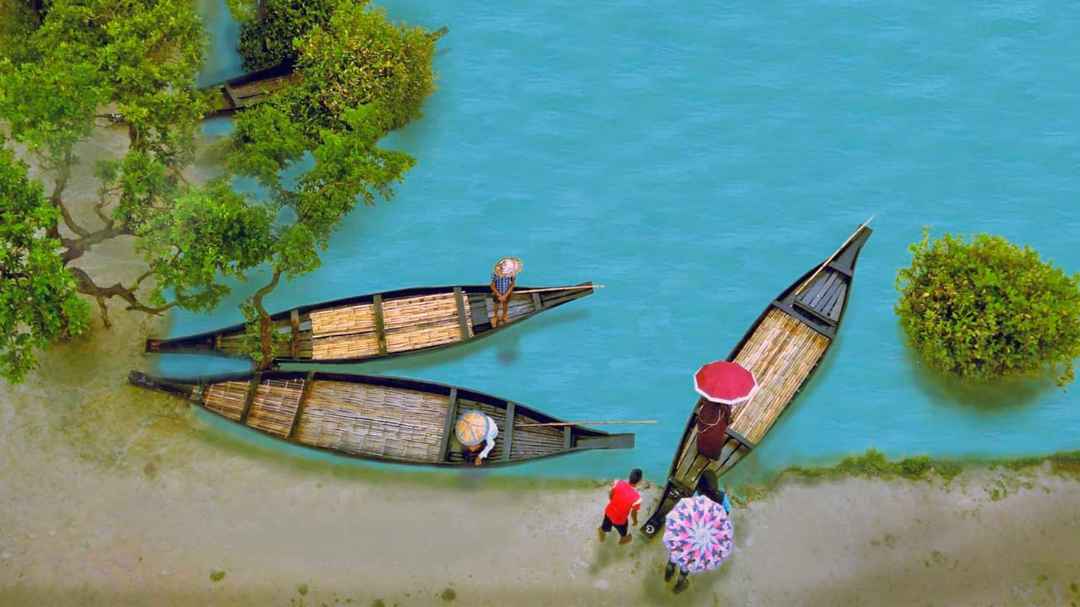 Find Everything You Need On Bangladeshinfo.com Find Everything You Need On Bangladeshinfo.com