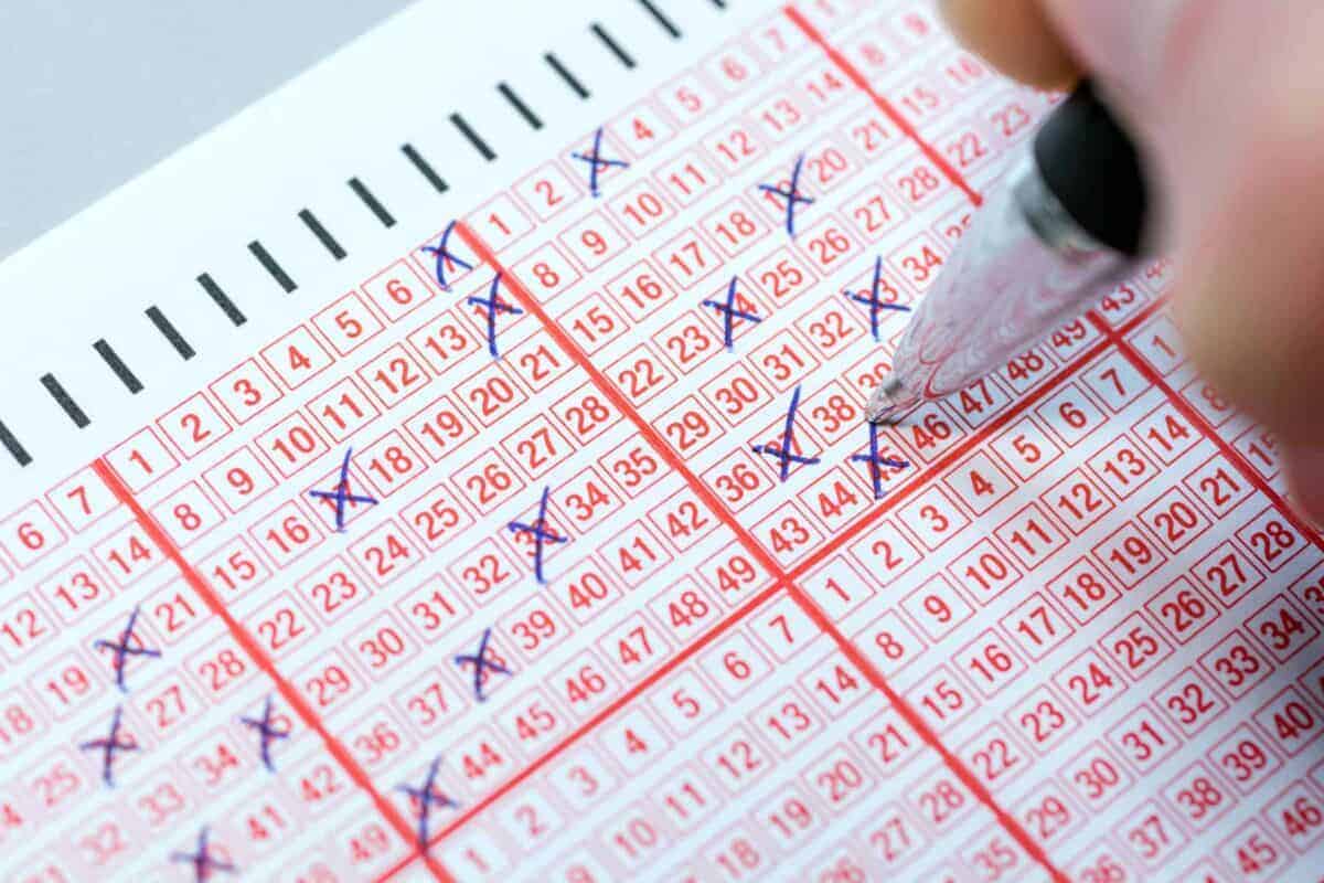Find The Daily Lotto Results For Sunday, April 20, 2025 Find The Daily Lotto Results For Sunday, April 20, 2025