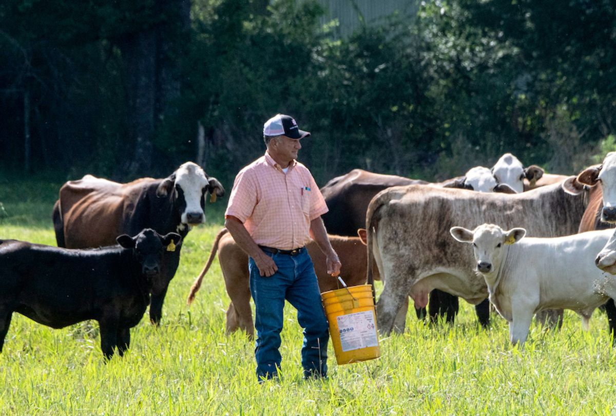 Flooding: A Grave Threat To Livestock And Farms Flooding: A Grave Threat To Livestock And Farms