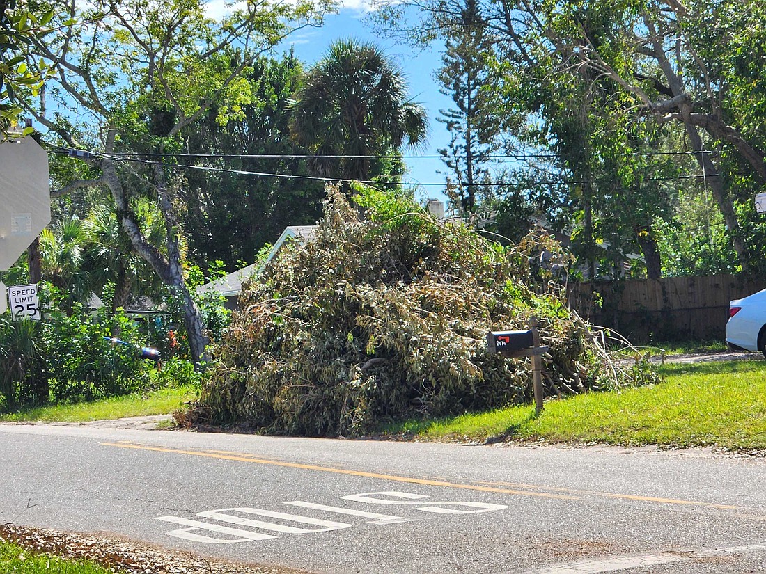 Following Severe Weather: Louisville Launches Storm Debris Pickup Program Following Severe Weather: Louisville Launches Storm Debris Pickup Program