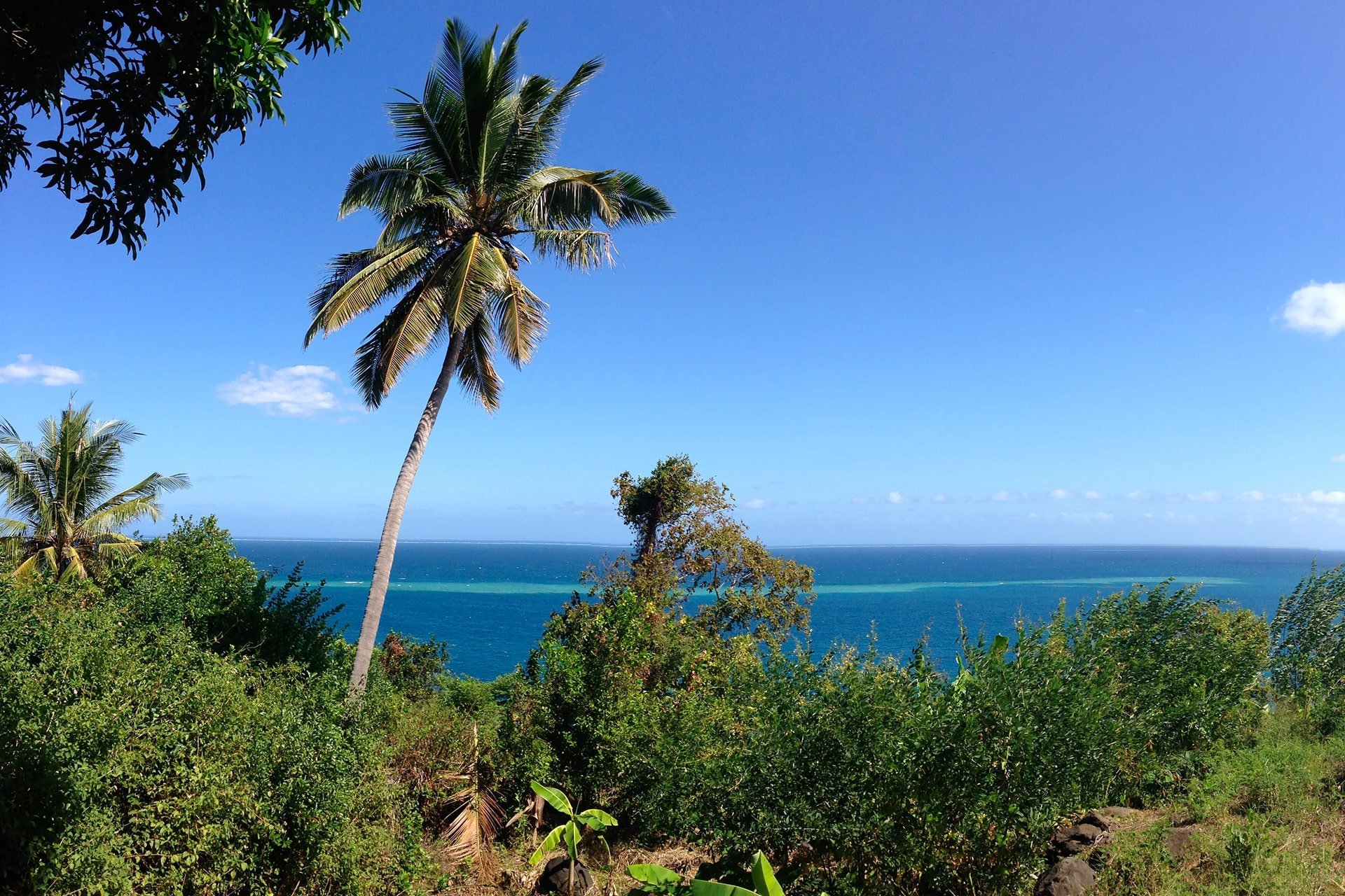 France's Treatment Of Mayotte: A Colonial Past, A Present-Day Question France's Treatment Of Mayotte: A Colonial Past, A Present-Day Question