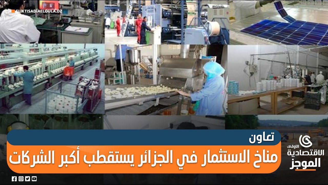 فرص الاستثمار في شراكة الطيران الجزائري الأمريكية فرص الاستثمار في شراكة الطيران الجزائري الأمريكية