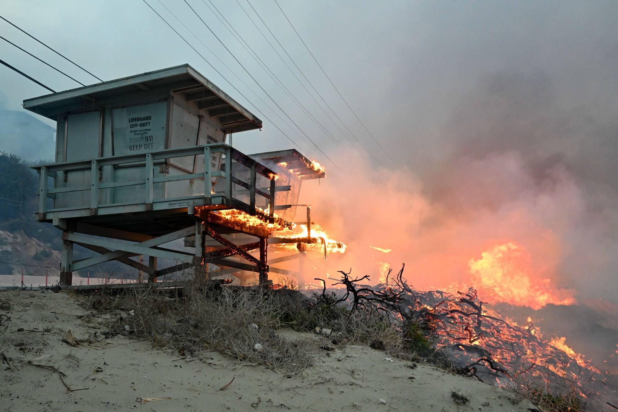 Full List: Famous Faces Affected By The LA Palisades Fires Full List: Famous Faces Affected By The LA Palisades Fires