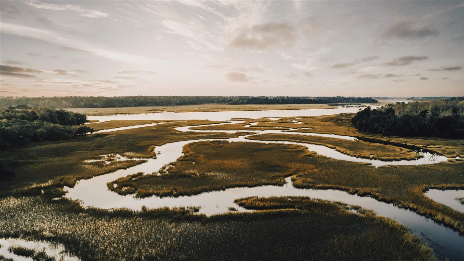 Funding Seagrass Restoration: Improving Scotland's Coastal Habitats Funding Seagrass Restoration: Improving Scotland's Coastal Habitats
