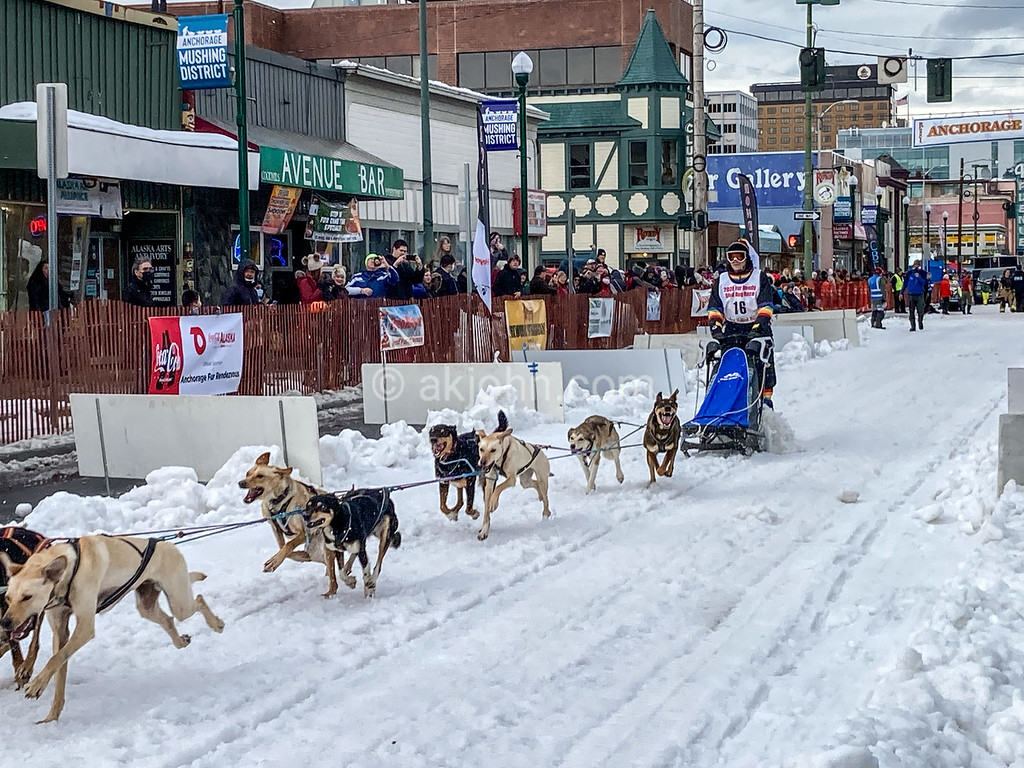 Fur Rondy's Condensed Race: Mushers And Their Teams Still Compete Fur Rondy's Condensed Race: Mushers And Their Teams Still Compete