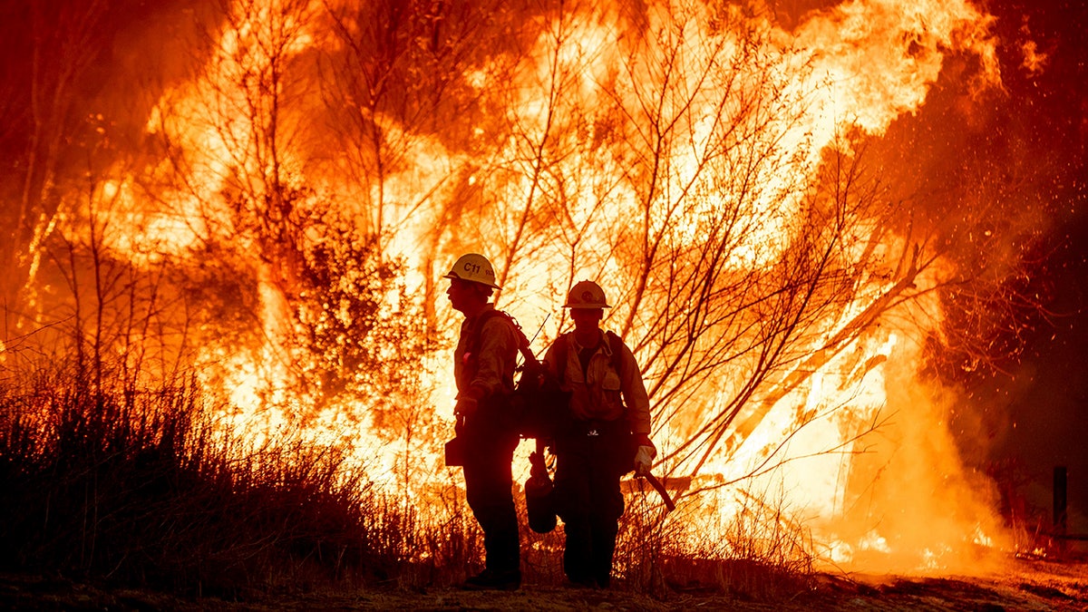 Gambling On Calamity: The Case Of The Los Angeles Wildfires Gambling On Calamity: The Case Of The Los Angeles Wildfires