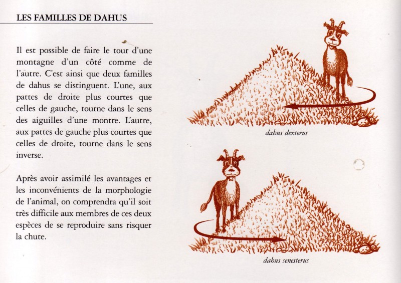 Game De Dahu #1 : Jeu Et Concours À Saint-Dié-des-Vosges Game De Dahu #1 : Jeu Et Concours À Saint-Dié-des-Vosges