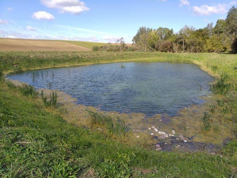 Garantált Minőség: KMÉ Védjegyes Baromfi A Mecsek Baromfi Kft.-től Garantált Minőség: KMÉ Védjegyes Baromfi A Mecsek Baromfi Kft.-től