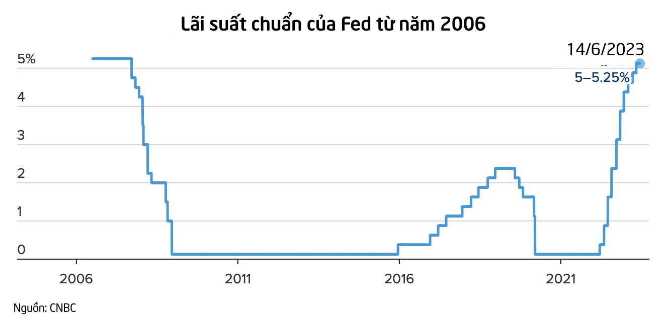 Giá Tiêu Hôm Nay Lập Đỉnh, Nông Dân Phấn Khởi