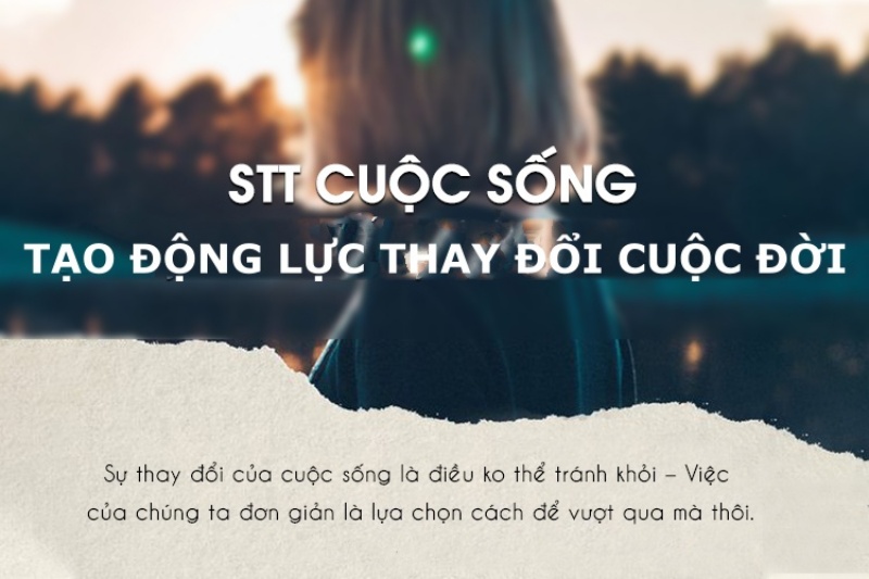 Giá Tiêu Hôm Nay: Tăng Mạnh, Niềm Vui Trở Lại Với Nông Dân Giá Tiêu Hôm Nay: Tăng Mạnh, Niềm Vui Trở Lại Với Nông Dân
