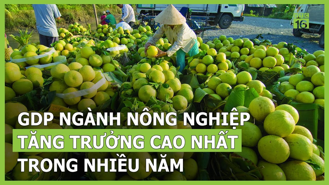 Giá Tiêu Hôm Nay Tăng, Thu Nhập Nông Dân Cải Thiện Giá Tiêu Hôm Nay Tăng, Thu Nhập Nông Dân Cải Thiện