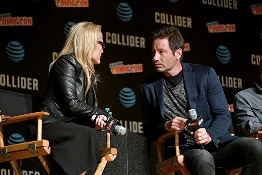 Gillian Anderson And David Duchovny Reunite At SAG Awards Gillian Anderson And David Duchovny Reunite At SAG Awards