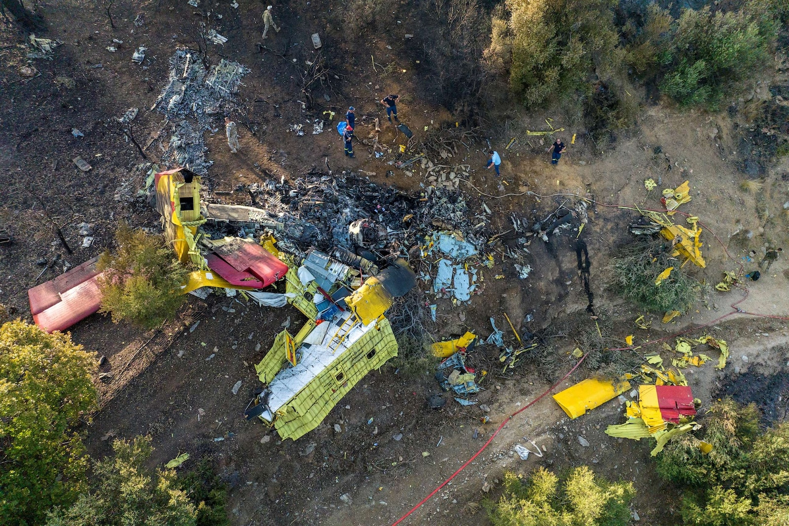 Global Forest Destruction: A Record Year Fueled By Wildfires Global Forest Destruction: A Record Year Fueled By Wildfires