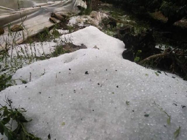 Hailstorms Damage Summer Landscapes: Pools And Gardens Impacted Hailstorms Damage Summer Landscapes: Pools And Gardens Impacted