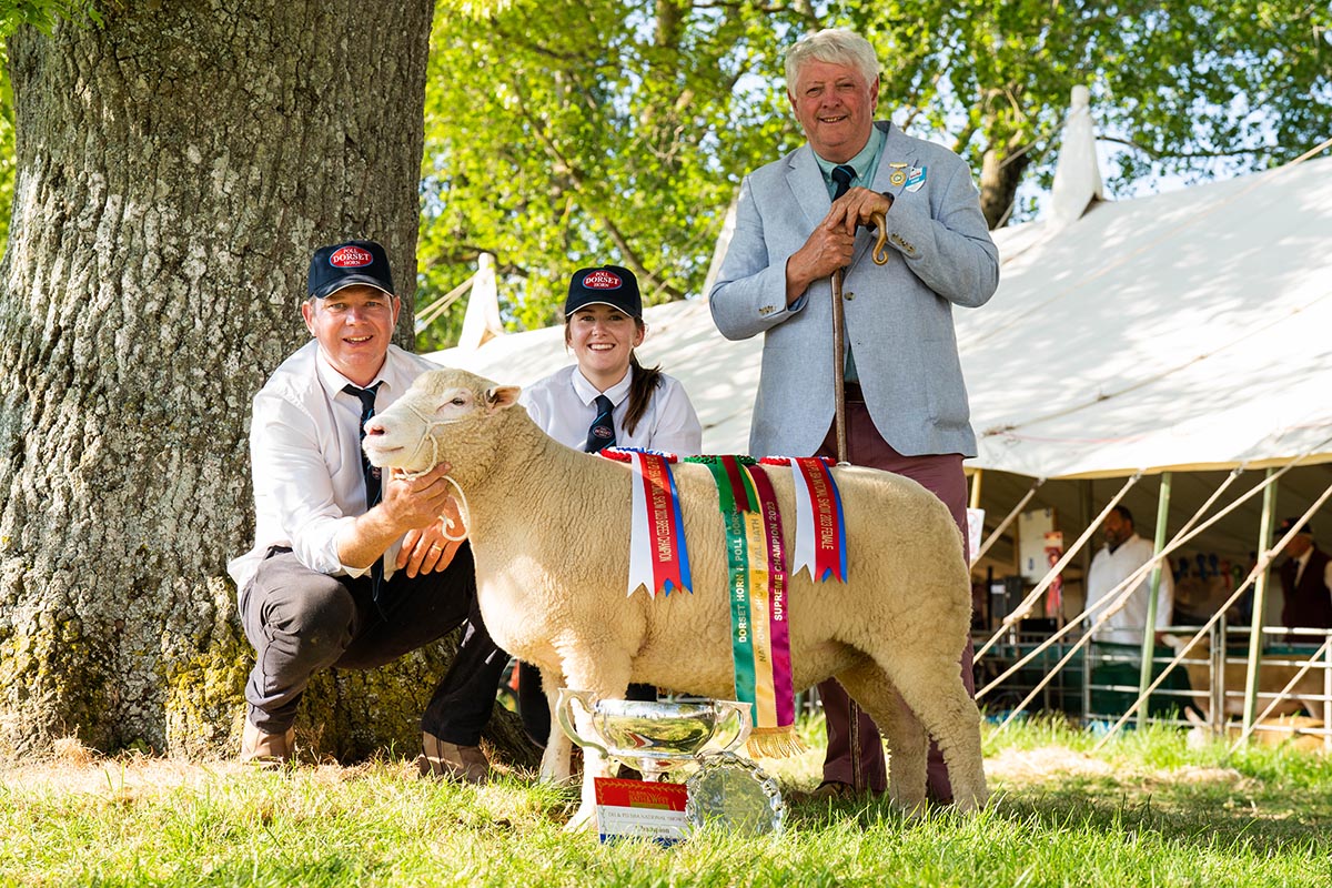 Half-Term Fun At The Royal Bath & West Show: Rides, Animals & Show Packs Half-Term Fun At The Royal Bath & West Show: Rides, Animals & Show Packs