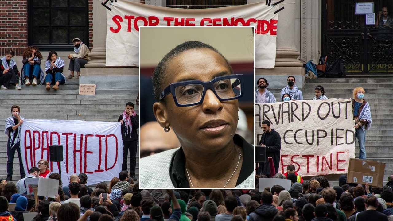 Harvard President Faces Trump's Criticism: Details Of The Dispute Harvard President Faces Trump's Criticism: Details Of The Dispute