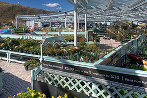 Hayes Garden World Announces Security Measures After £300 Theft Hayes Garden World Announces Security Measures After £300 Theft