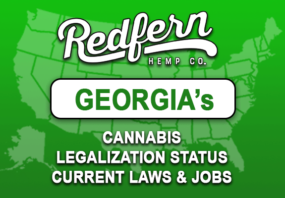 Hemp In Georgia: Deciphering The Laws And Accessing Legal Products Hemp In Georgia: Deciphering The Laws And Accessing Legal Products