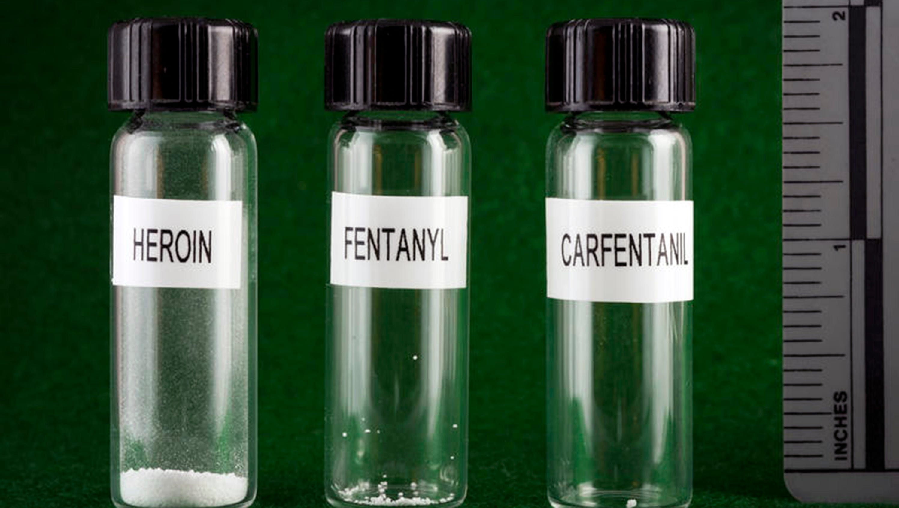 High Fentanyl Levels Confirmed In Prince's Autopsy: A March 26th Retrospective High Fentanyl Levels Confirmed In Prince's Autopsy: A March 26th Retrospective