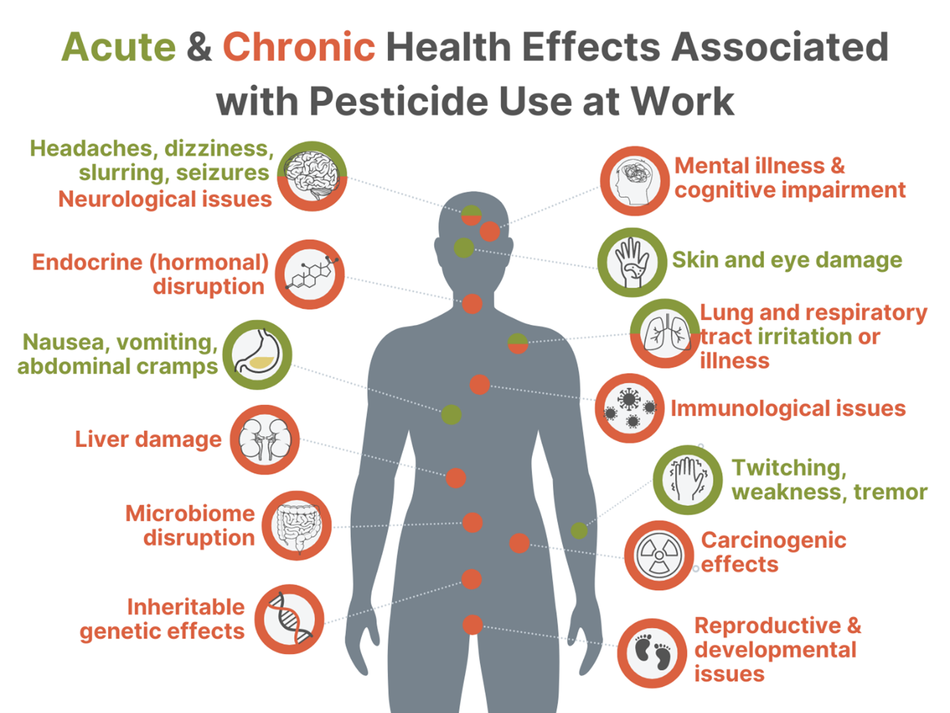 Household Plastic Chemicals: A Study's Implications For Cardiovascular Health Household Plastic Chemicals: A Study's Implications For Cardiovascular Health
