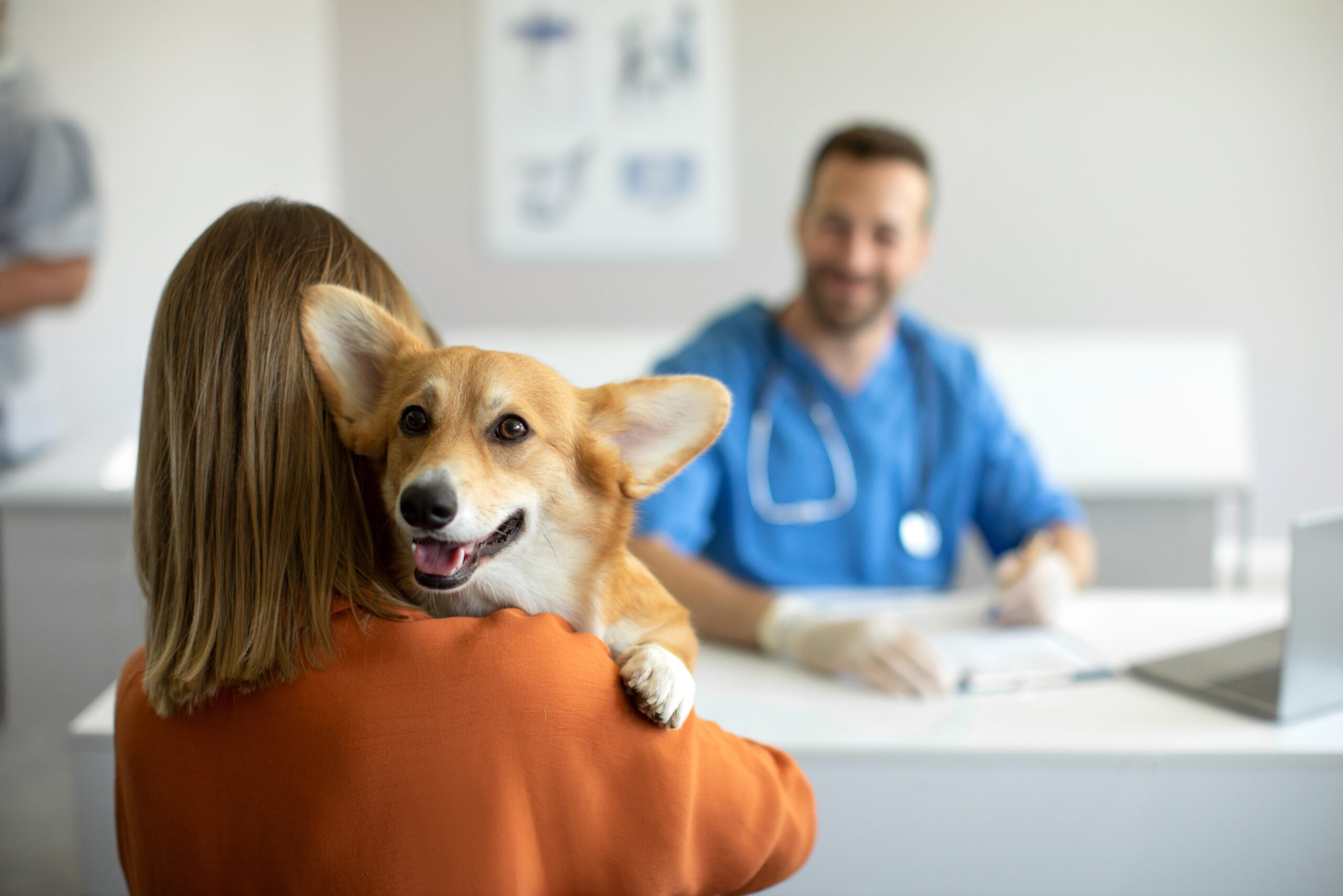 How Veterinary Practices Can Address Watchdog Concerns How Veterinary Practices Can Address Watchdog Concerns