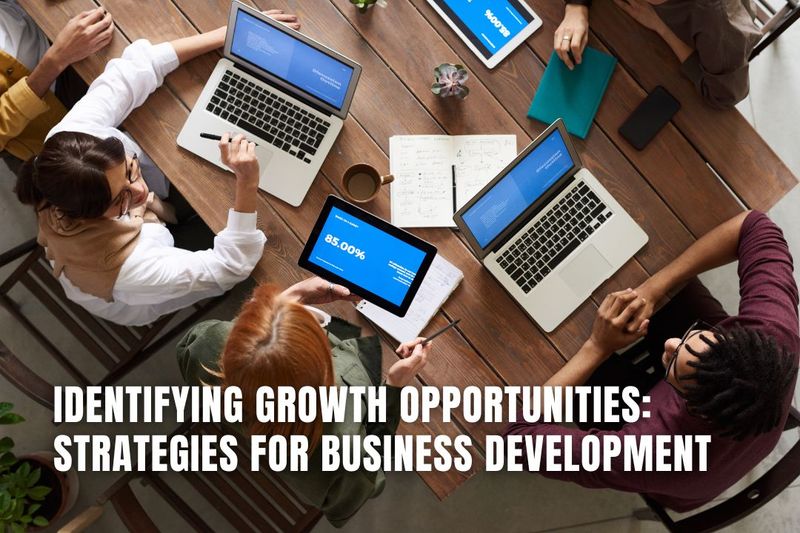Identifying Promising New Business Areas In [Country Name]