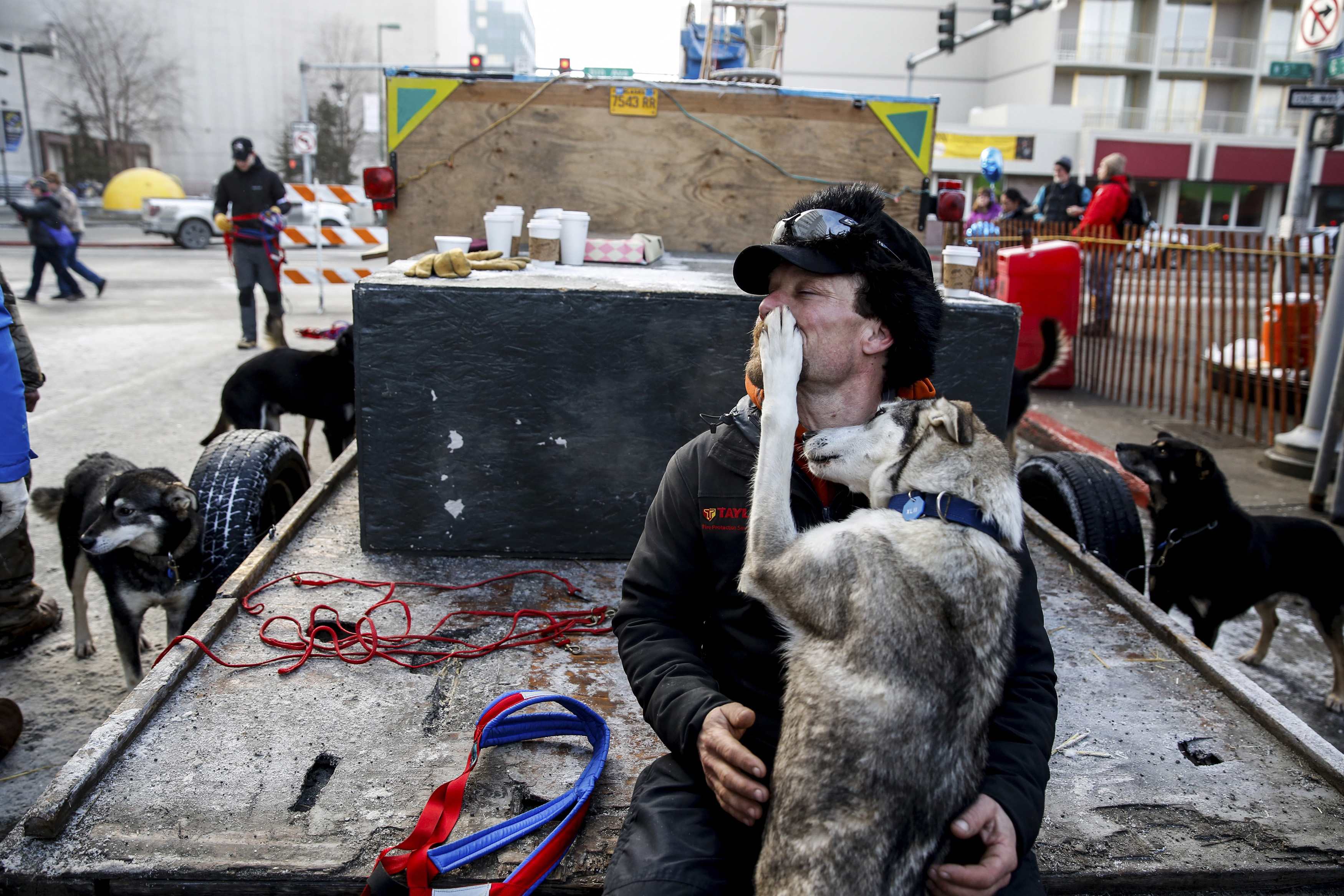 Iditarod 2025: Downtown Anchorage Throngs With Spectators For Ceremonial Start Iditarod 2025: Downtown Anchorage Throngs With Spectators For Ceremonial Start